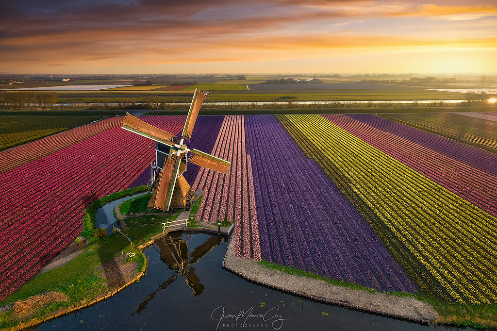 Field of Rainbow Flowers Baby Batts