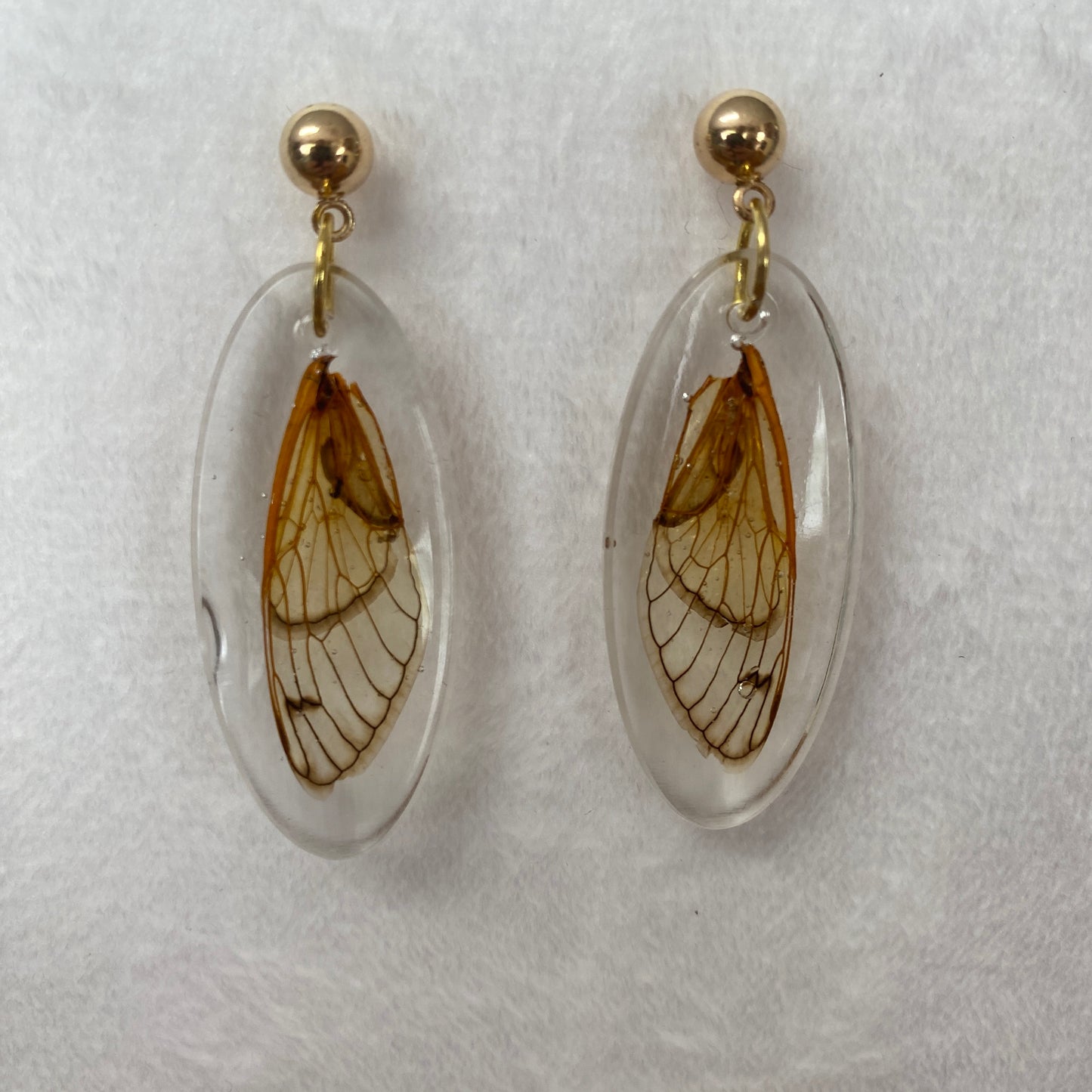 Cicada wing earrings-gold and oval