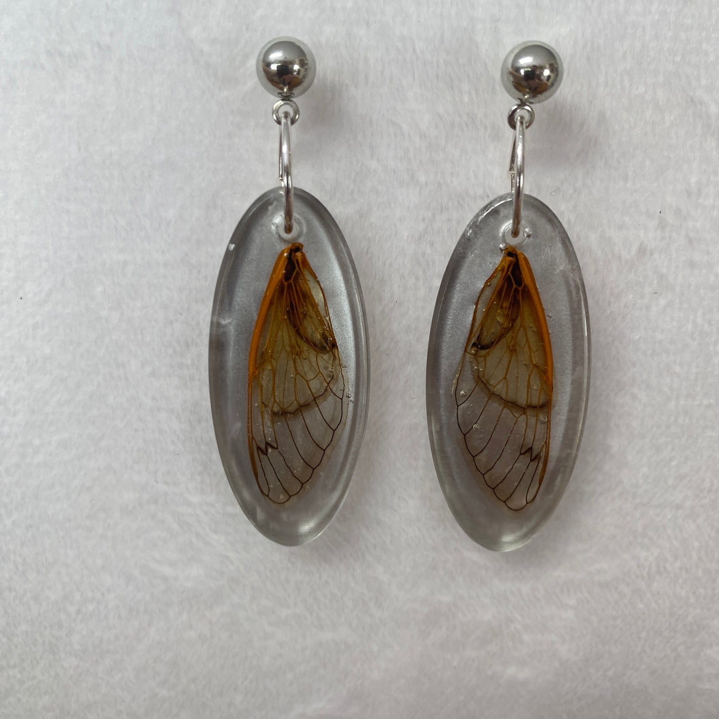 Oval silver cicada wing earrings