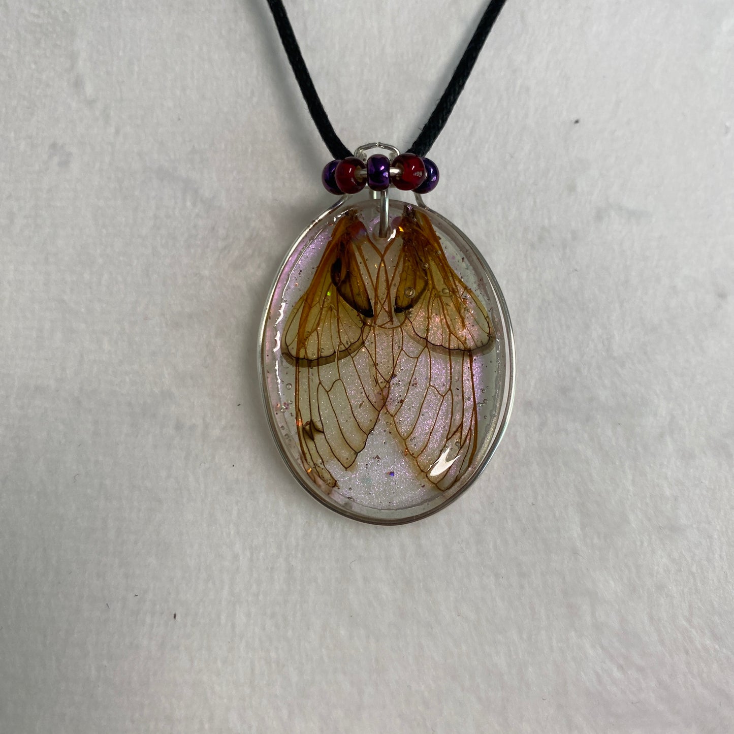 4 Cicada wing necklace