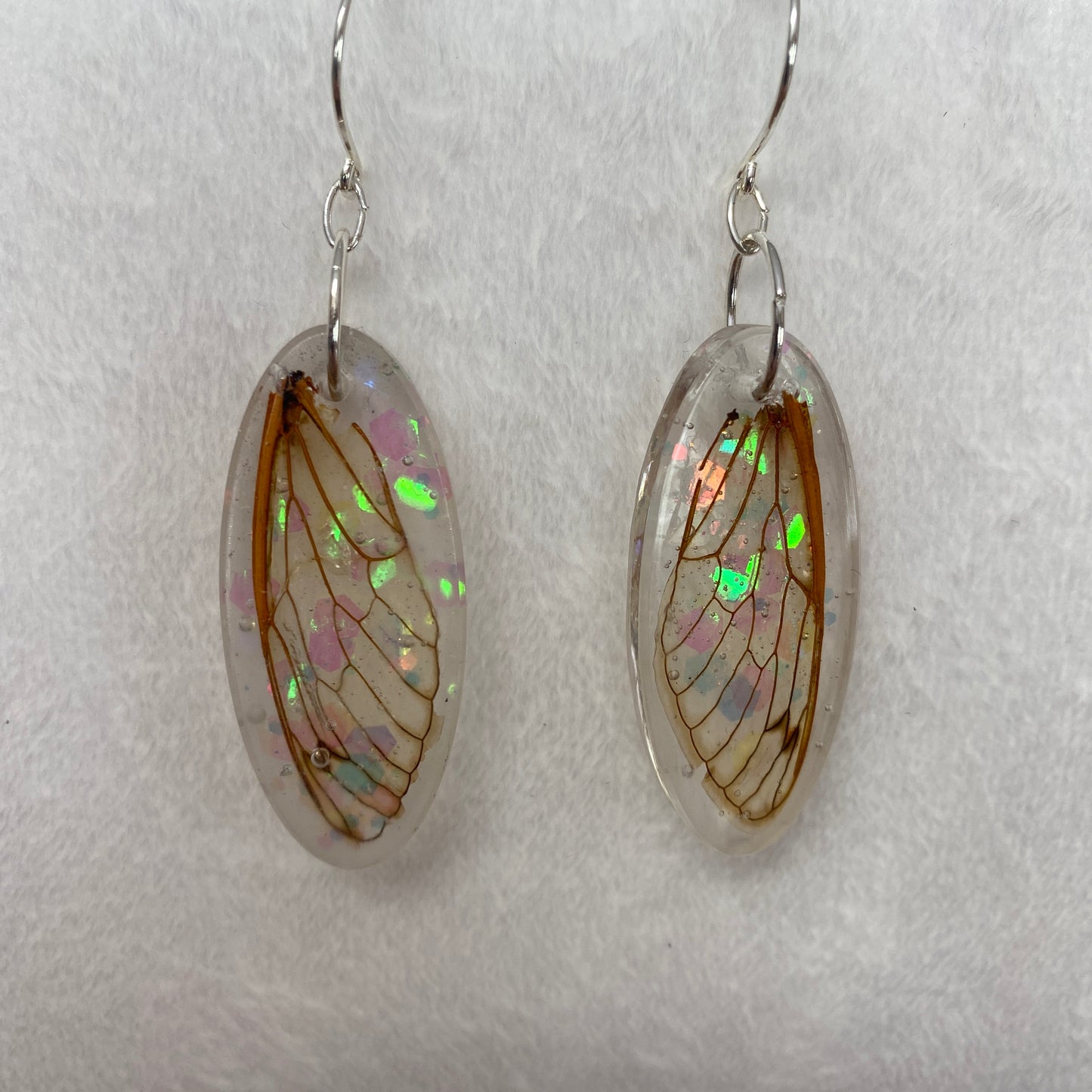 Oval cicada wing earrings with glitter